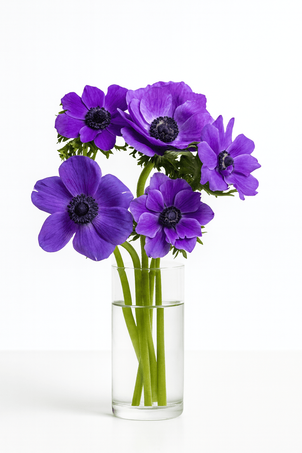 Mariane Blue