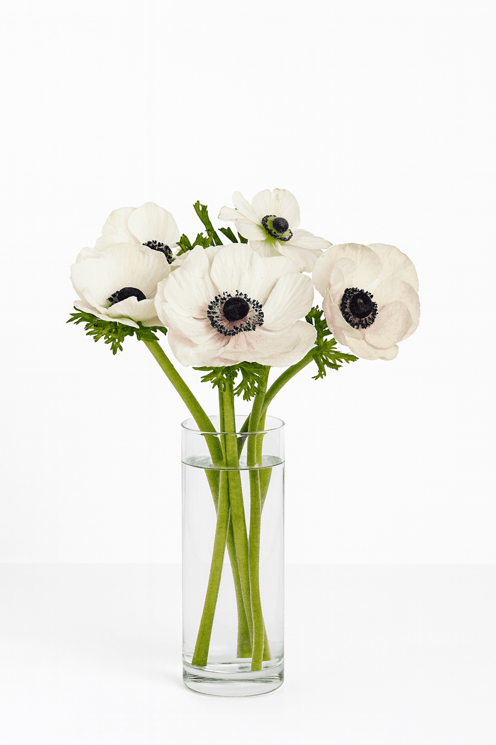 Mariane White 25cm