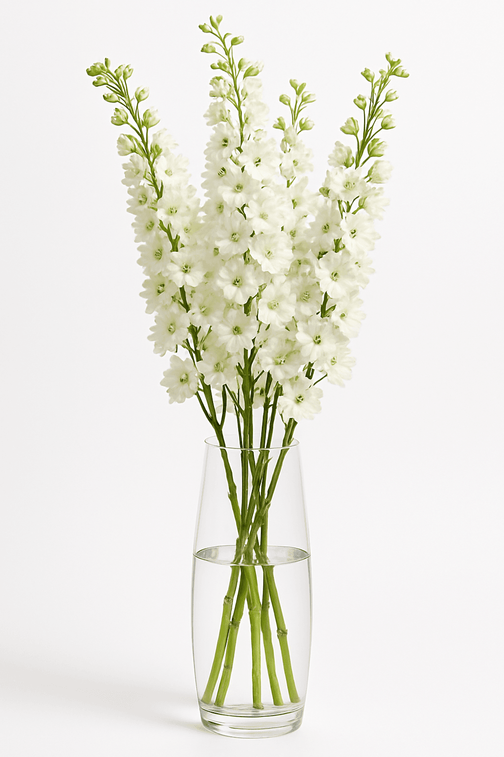Galahad White