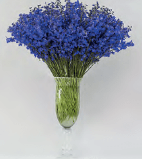 Sea Waltz Blue 90cm