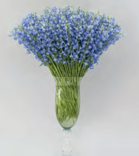 Larkspur White 70 cm