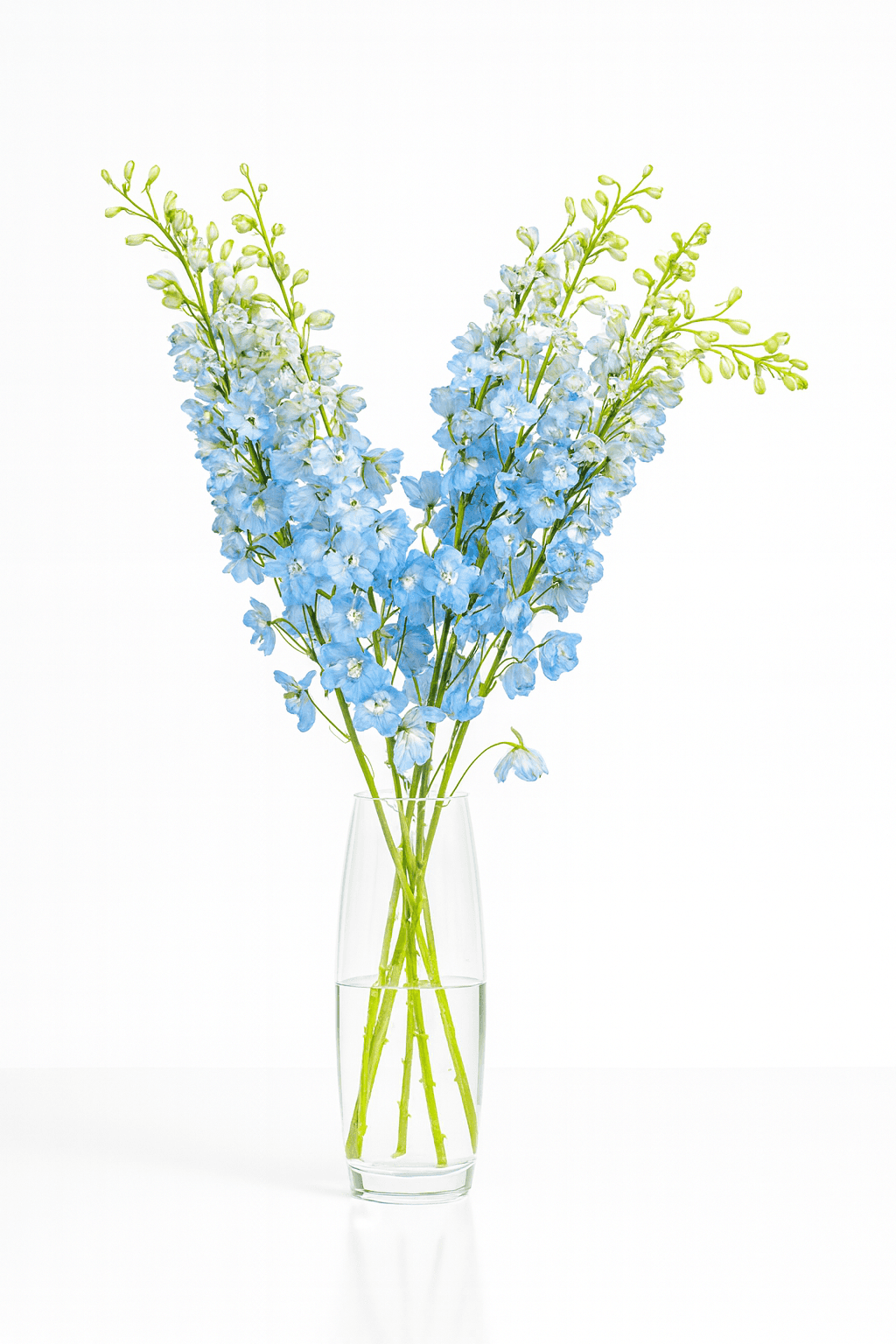 Summer Skies Light Blue 60cm