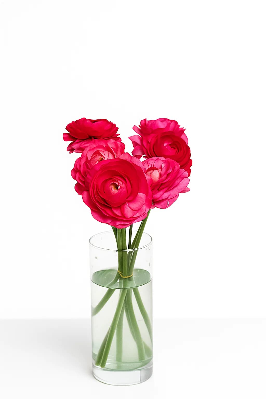 Elegance Cream 30-35 cm