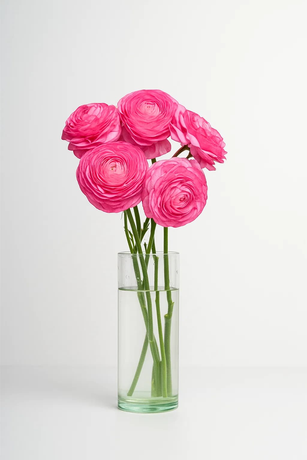 Elegance Pink 35-40 cm